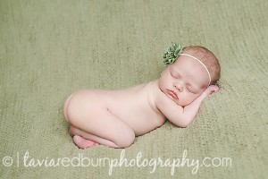 oklahoma posed newborn photography