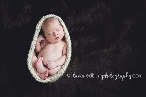 newborn posed in cocoon